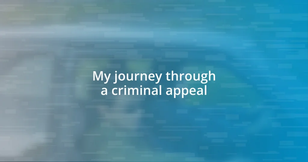 My journey through a criminal appeal
