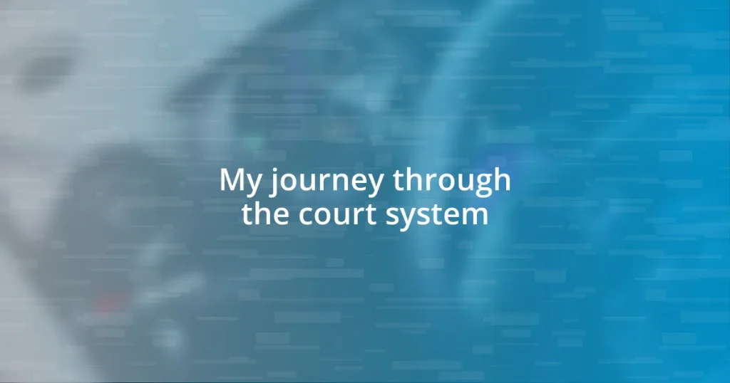 My journey through the court system