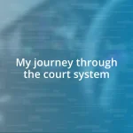My journey through the court system