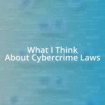 What I Think About Cybercrime Laws